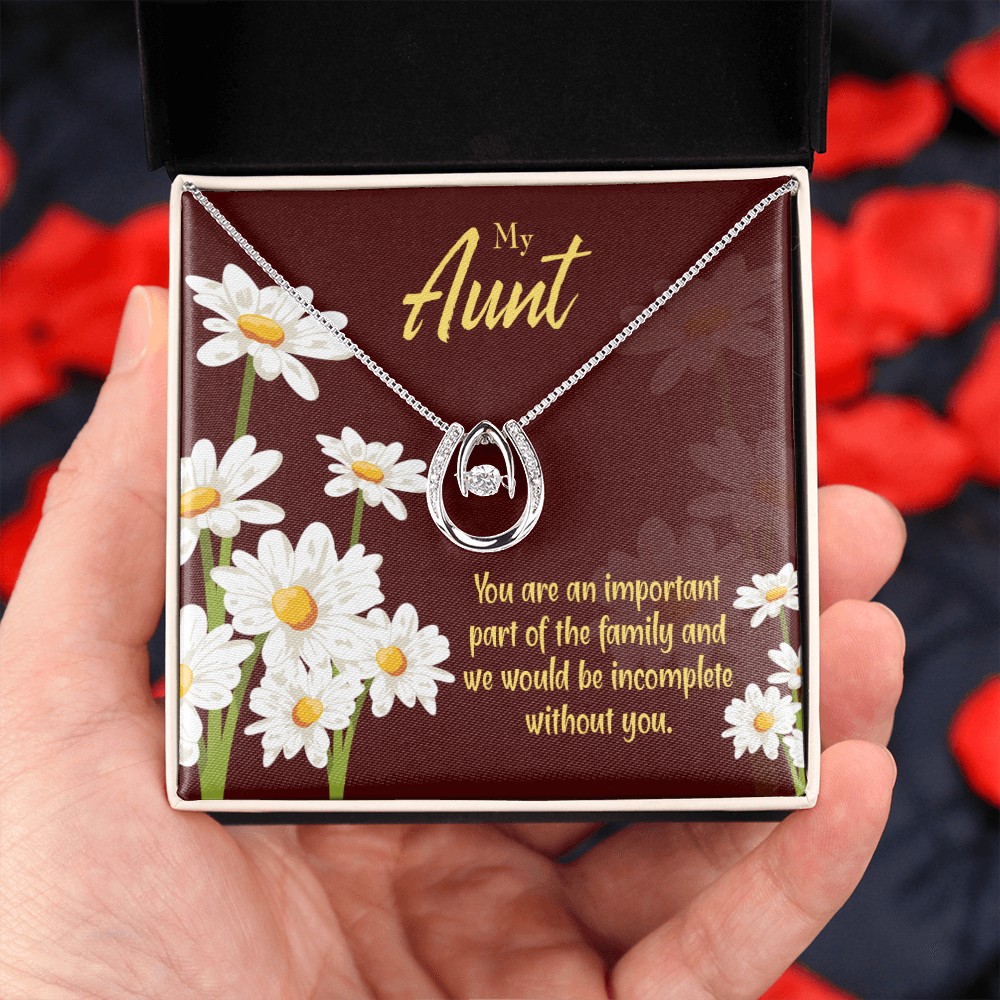 To My Aunt Importance Lucky Horseshoe Necklace Message Card 14k w CZ Crystals-Express Your Love Gifts