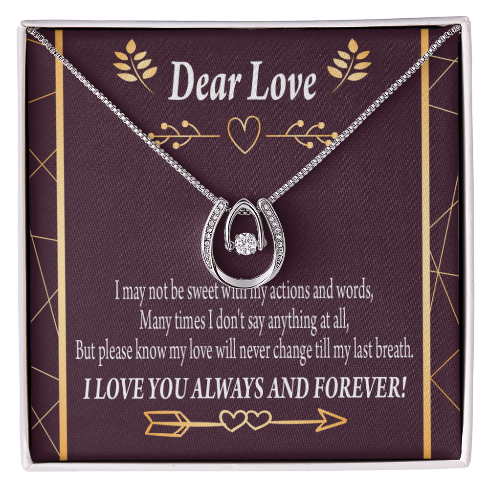 To My Girlfriend Apology Lucky Horseshoe Necklace Message Card 14k w CZ Crystals-Express Your Love Gifts