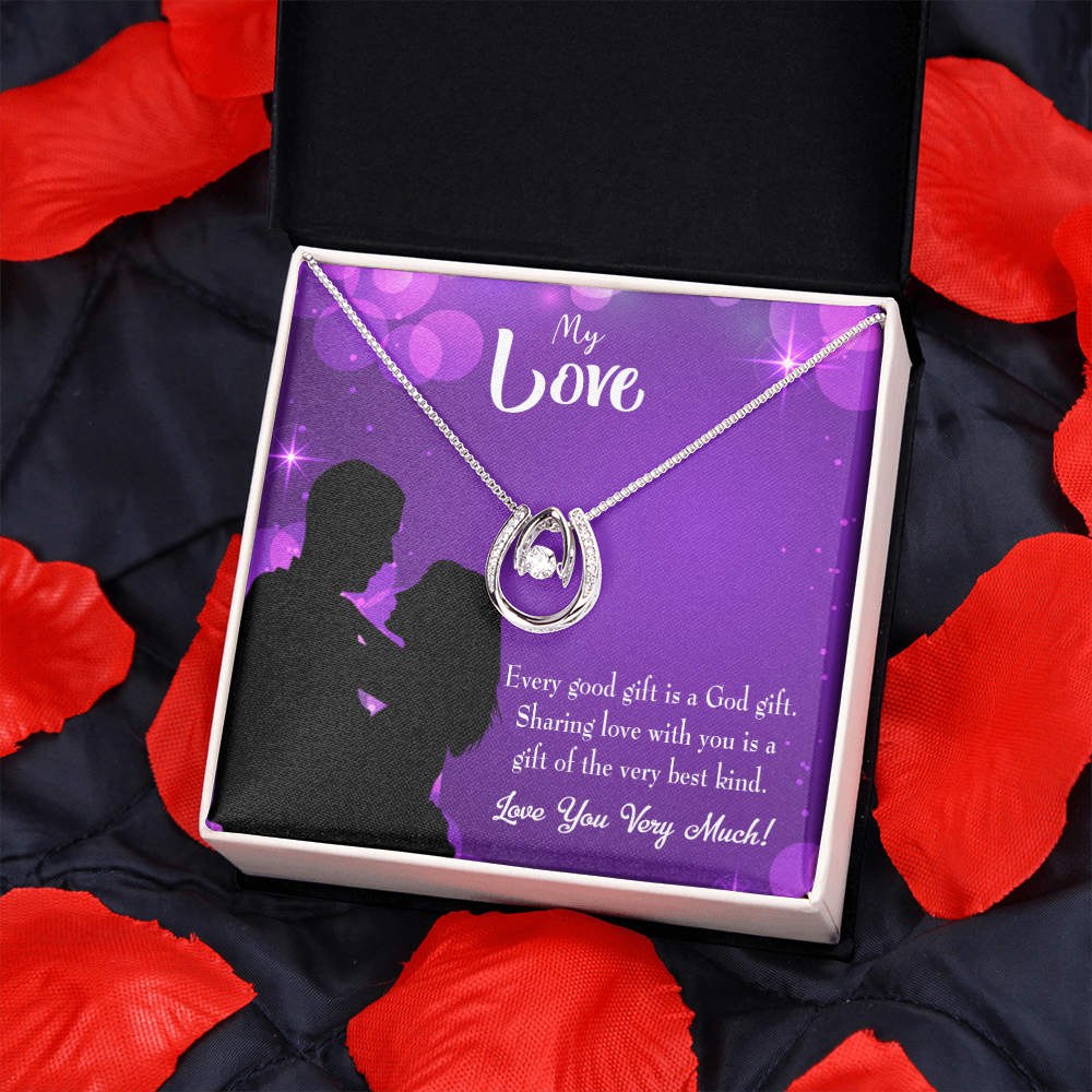 To My Girlfriend Good Gift Lucky Horseshoe Necklace Message Card 14k w CZ Crystals-Express Your Love Gifts