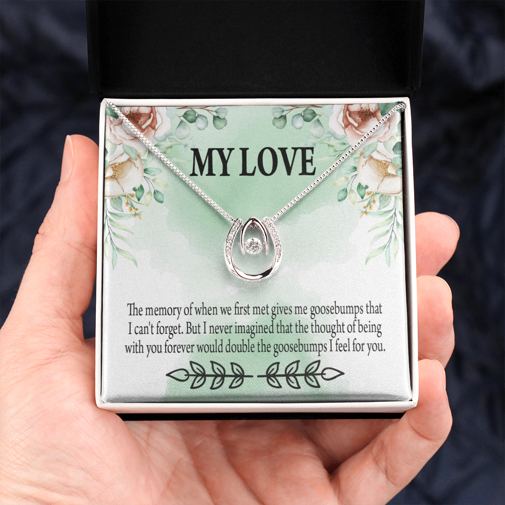 To My Girlfriend Goosebumps Forever Lucky Horseshoe Necklace Message Card 14k w CZ Crystals-Express Your Love Gifts