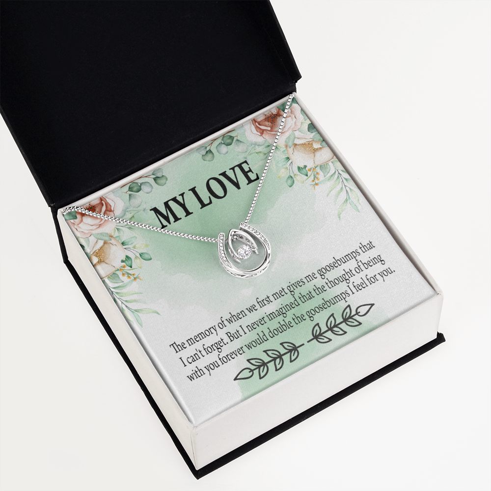 To My Girlfriend Goosebumps Forever Lucky Horseshoe Necklace Message Card 14k w CZ Crystals-Express Your Love Gifts