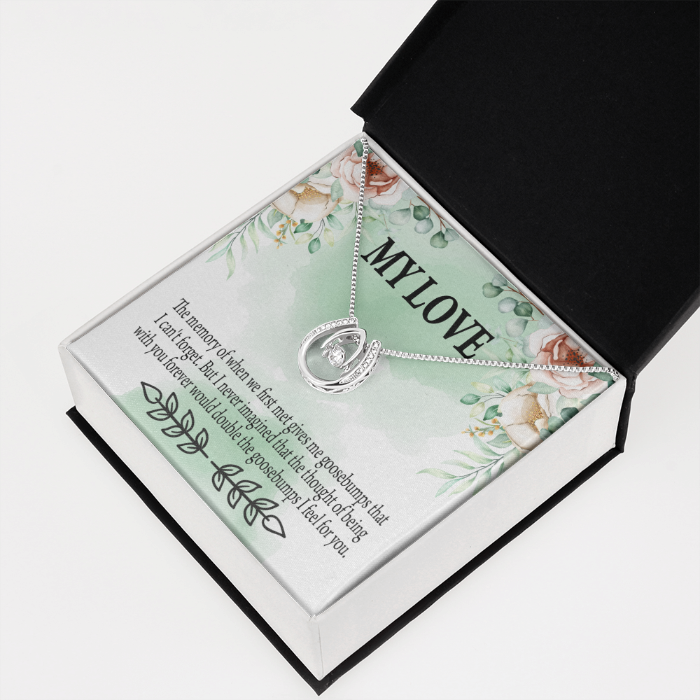 To My Girlfriend Goosebumps Forever Lucky Horseshoe Necklace Message Card 14k w CZ Crystals-Express Your Love Gifts