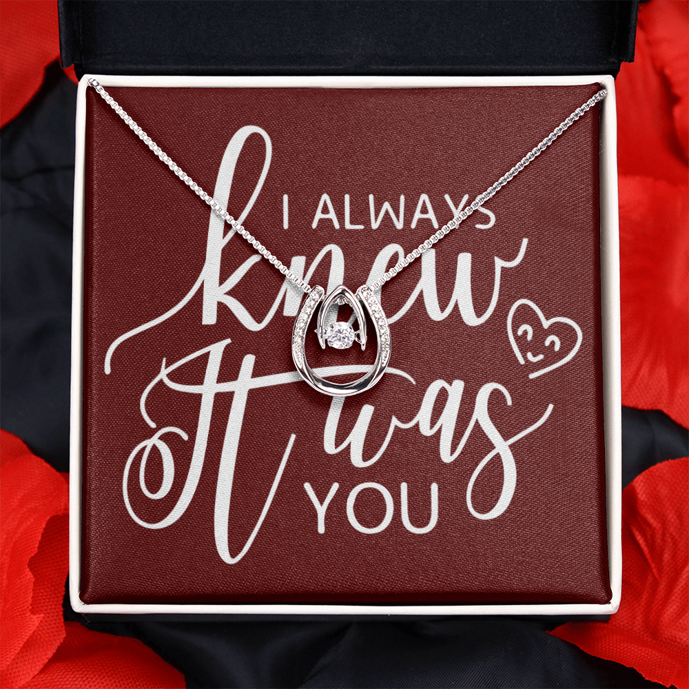 To My Girlfriend I Always Knew It Was You Lucky Horseshoe Necklace Message Card 14k w CZ Crystals-Express Your Love Gifts