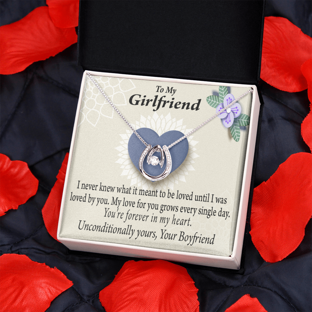 To My Girlfriend I Love You More Every Day Lucky Horseshoe Necklace Message Card 14k w CZ Crystals-Express Your Love Gifts
