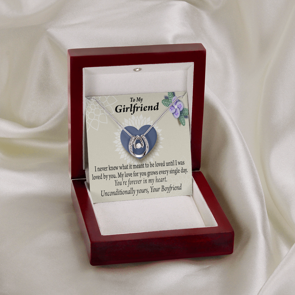 To My Girlfriend I Love You More Every Day Lucky Horseshoe Necklace Message Card 14k w CZ Crystals-Express Your Love Gifts