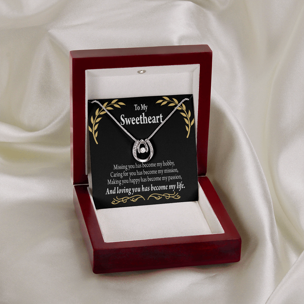 To My Girlfriend Loving You Lucky Horseshoe Necklace Message Card 14k w CZ Crystals-Express Your Love Gifts