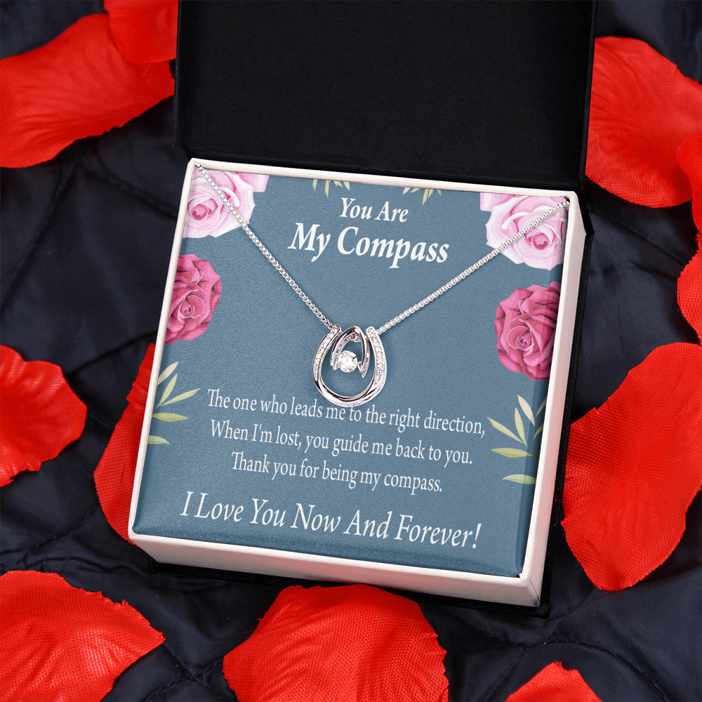 To My Girlfriend My Compass Lucky Horseshoe Necklace Message Card 14k w CZ Crystals-Express Your Love Gifts