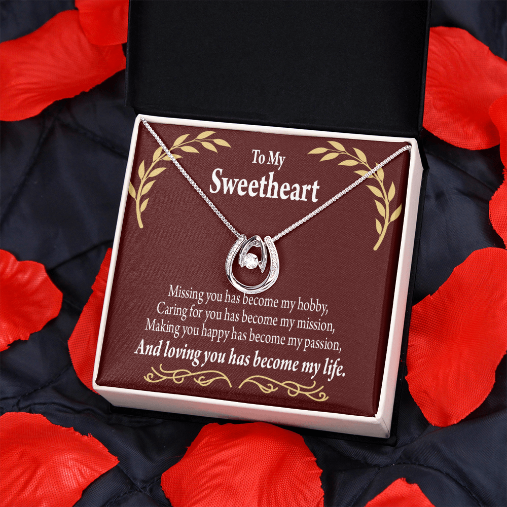 To My Girlfriend My Passion Lucky Horseshoe Necklace Message Card 14k w CZ Crystals-Express Your Love Gifts