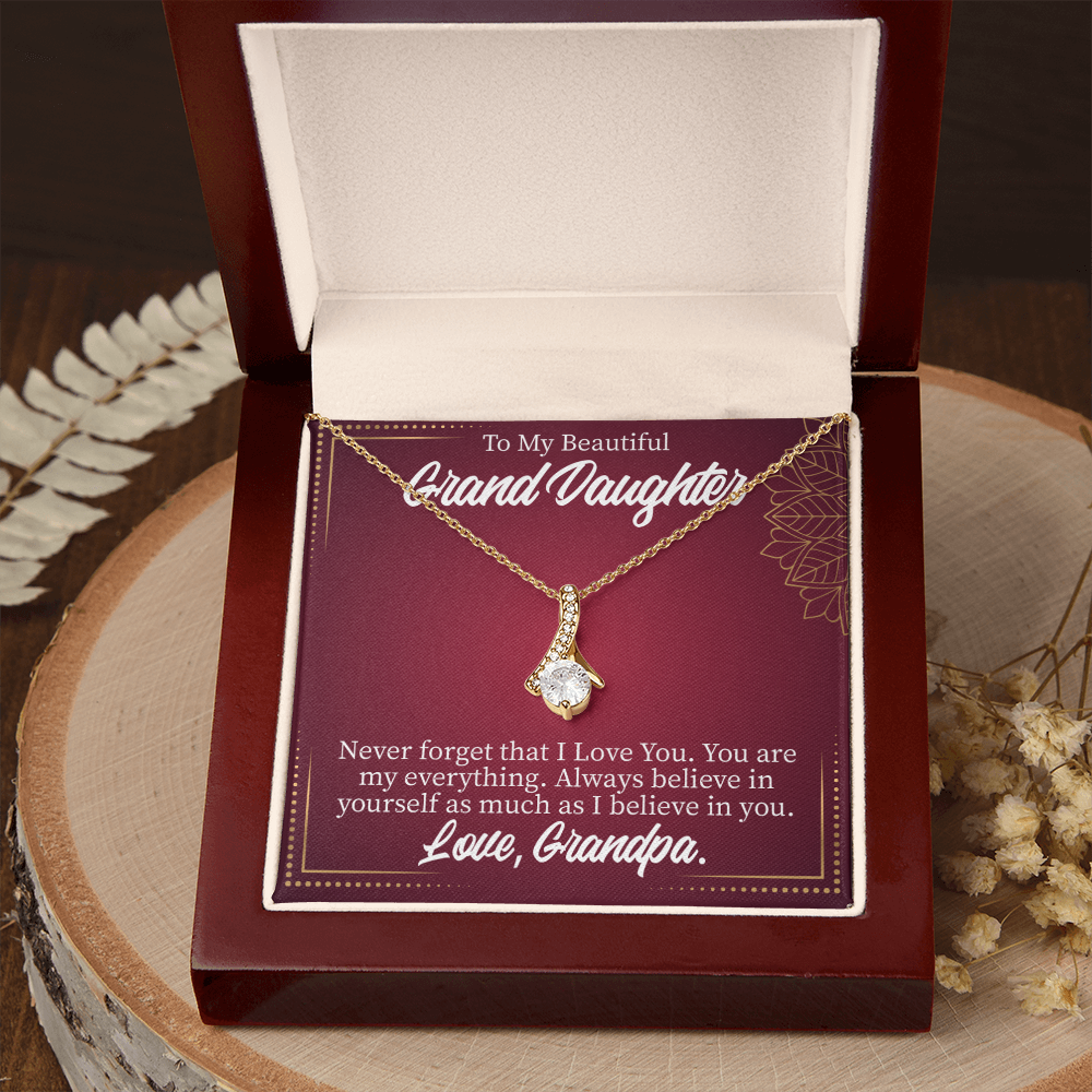 To My Granddaughter Never Forget Grandpa Alluring Ribbon Necklace Message Card-Express Your Love Gifts