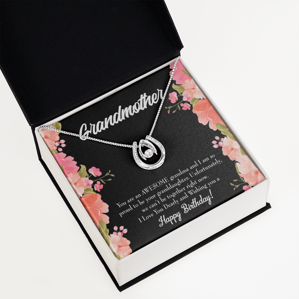To My Grandma Awesome Grandma Birthday Message Lucky Horseshoe Necklace Message Card 14k w CZ Crystals-Express Your Love Gifts