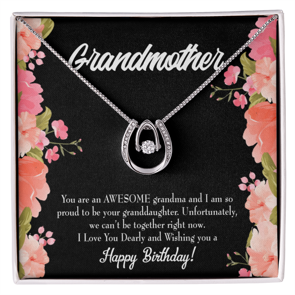 To My Grandma Awesome Grandma Birthday Message Lucky Horseshoe Necklace Message Card 14k w CZ Crystals-Express Your Love Gifts