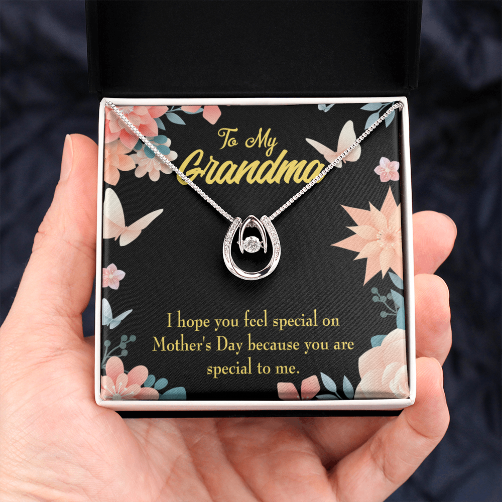 To My Grandma Special Lucky Horseshoe Necklace Message Card 14k w CZ Crystals-Express Your Love Gifts