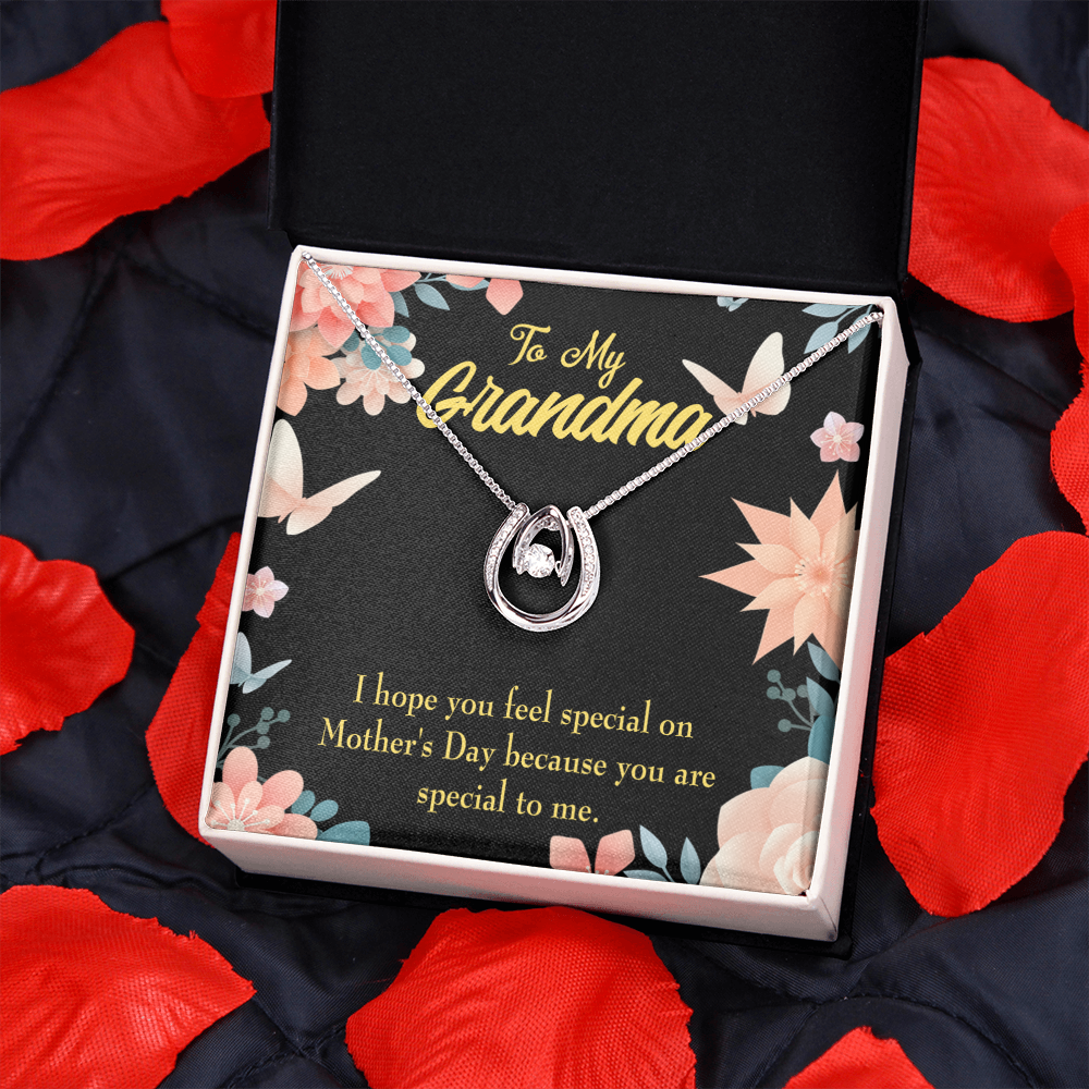 To My Grandma Special Lucky Horseshoe Necklace Message Card 14k w CZ Crystals-Express Your Love Gifts