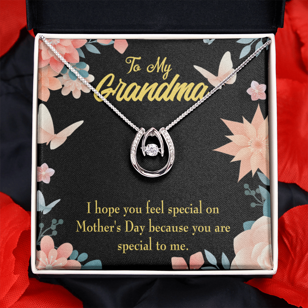 To My Grandma Special Lucky Horseshoe Necklace Message Card 14k w CZ Crystals-Express Your Love Gifts