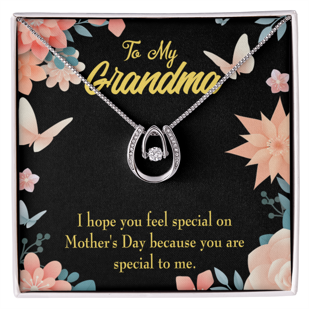 To My Grandma Special Lucky Horseshoe Necklace Message Card 14k w CZ Crystals-Express Your Love Gifts