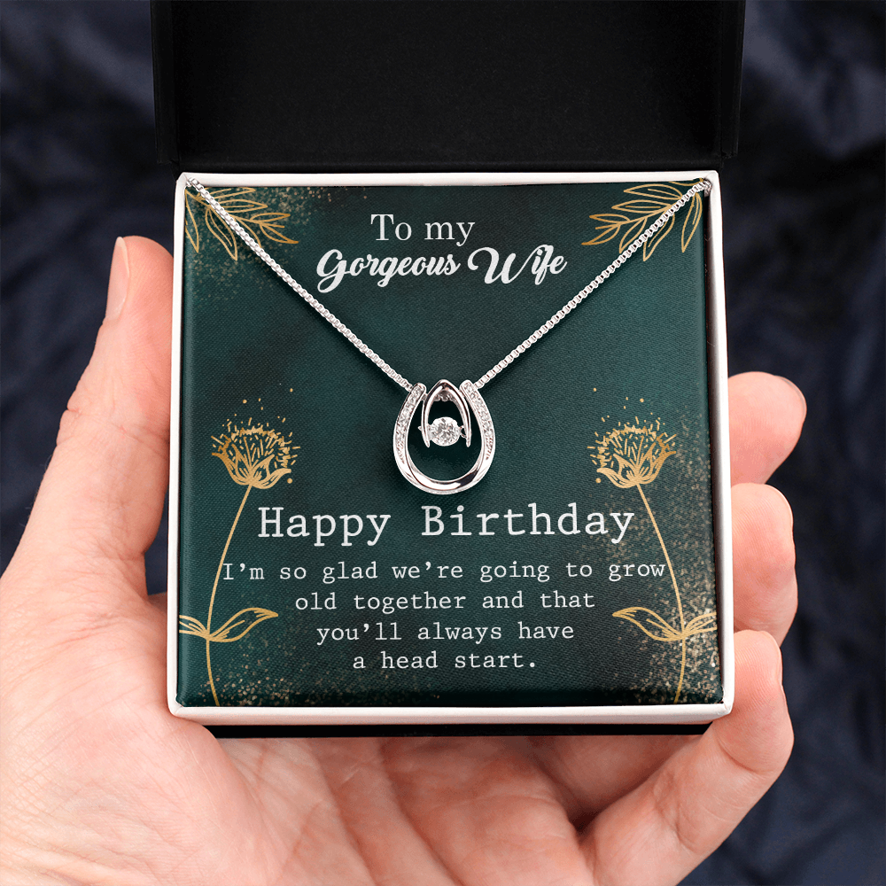 To My Wife Birthday Grow Old Together Lucky Horseshoe Necklace Message Card 14k w CZ Crystals-Express Your Love Gifts
