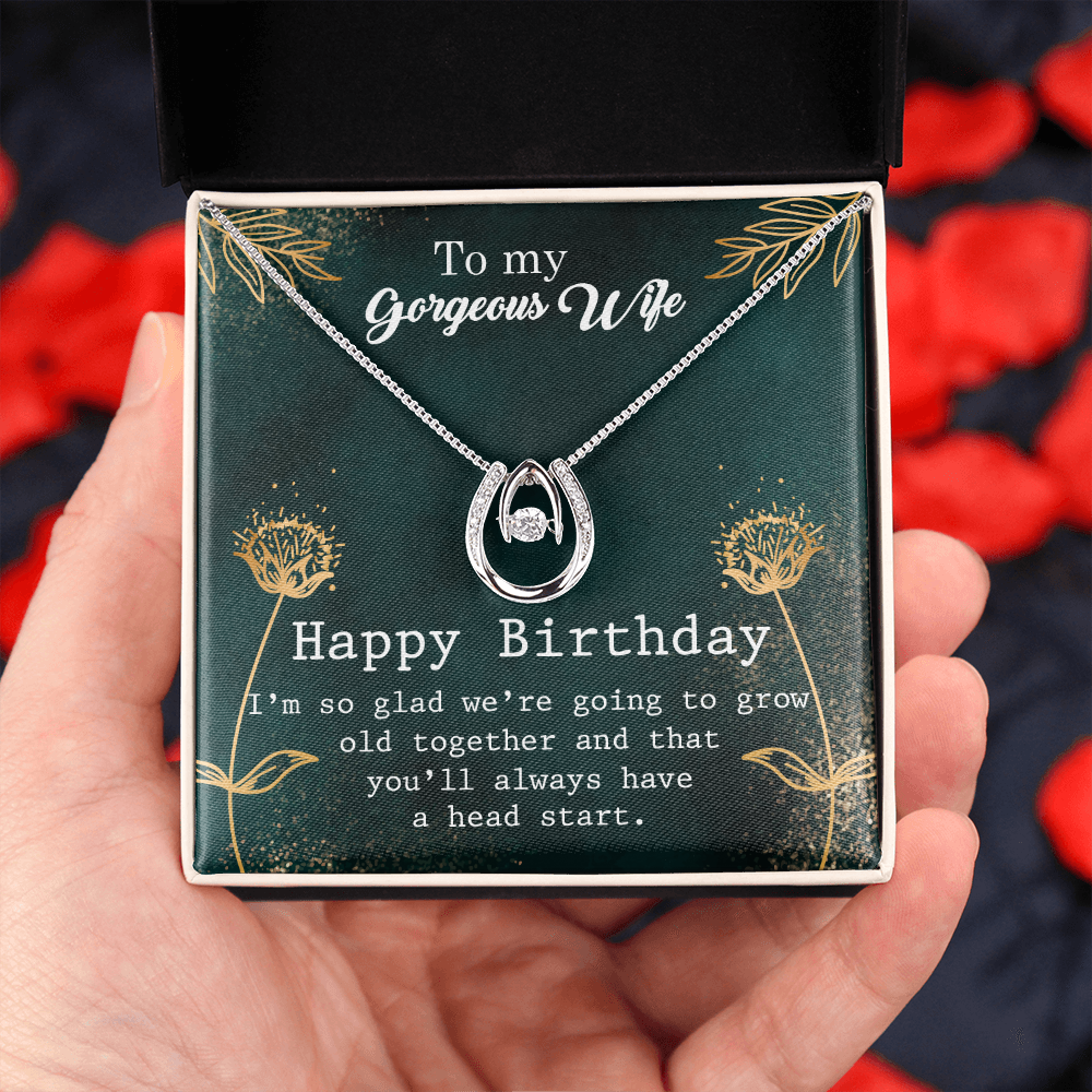 To My Wife Birthday Grow Old Together Lucky Horseshoe Necklace Message Card 14k w CZ Crystals-Express Your Love Gifts