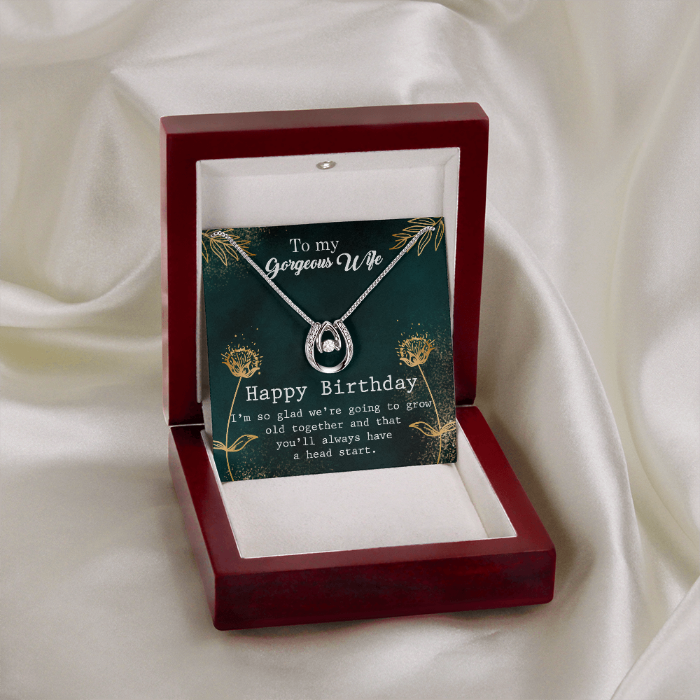 To My Wife Birthday Grow Old Together Lucky Horseshoe Necklace Message Card 14k w CZ Crystals-Express Your Love Gifts