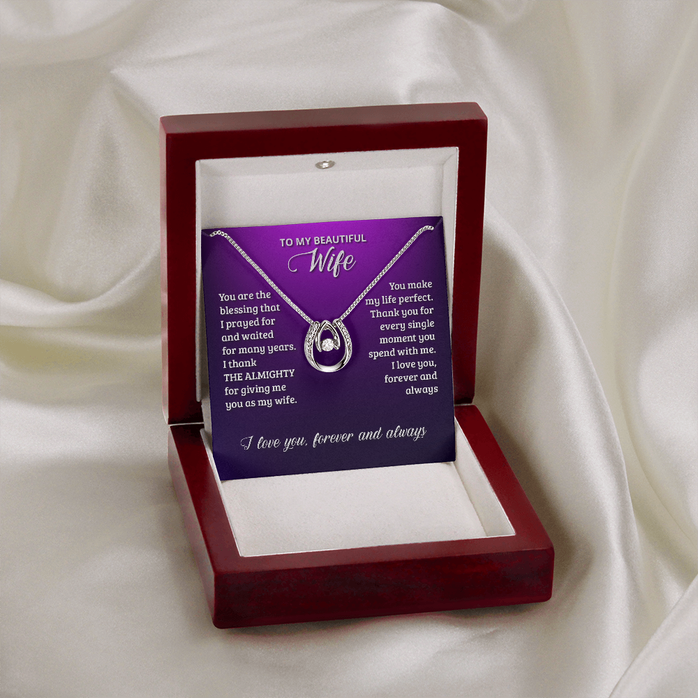 To My Wife Birthday You Are The Blessing Lucky Horseshoe Necklace Message Card 14k w CZ Crystals-Express Your Love Gifts