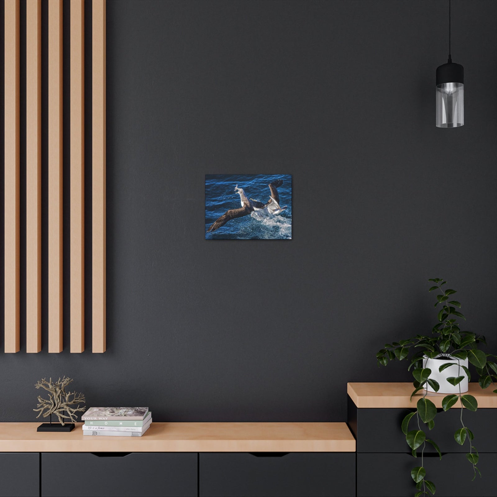 Two Albatross Fighting Over Food Canvas Gallery Wraps Unframed-Express Your Love Gifts