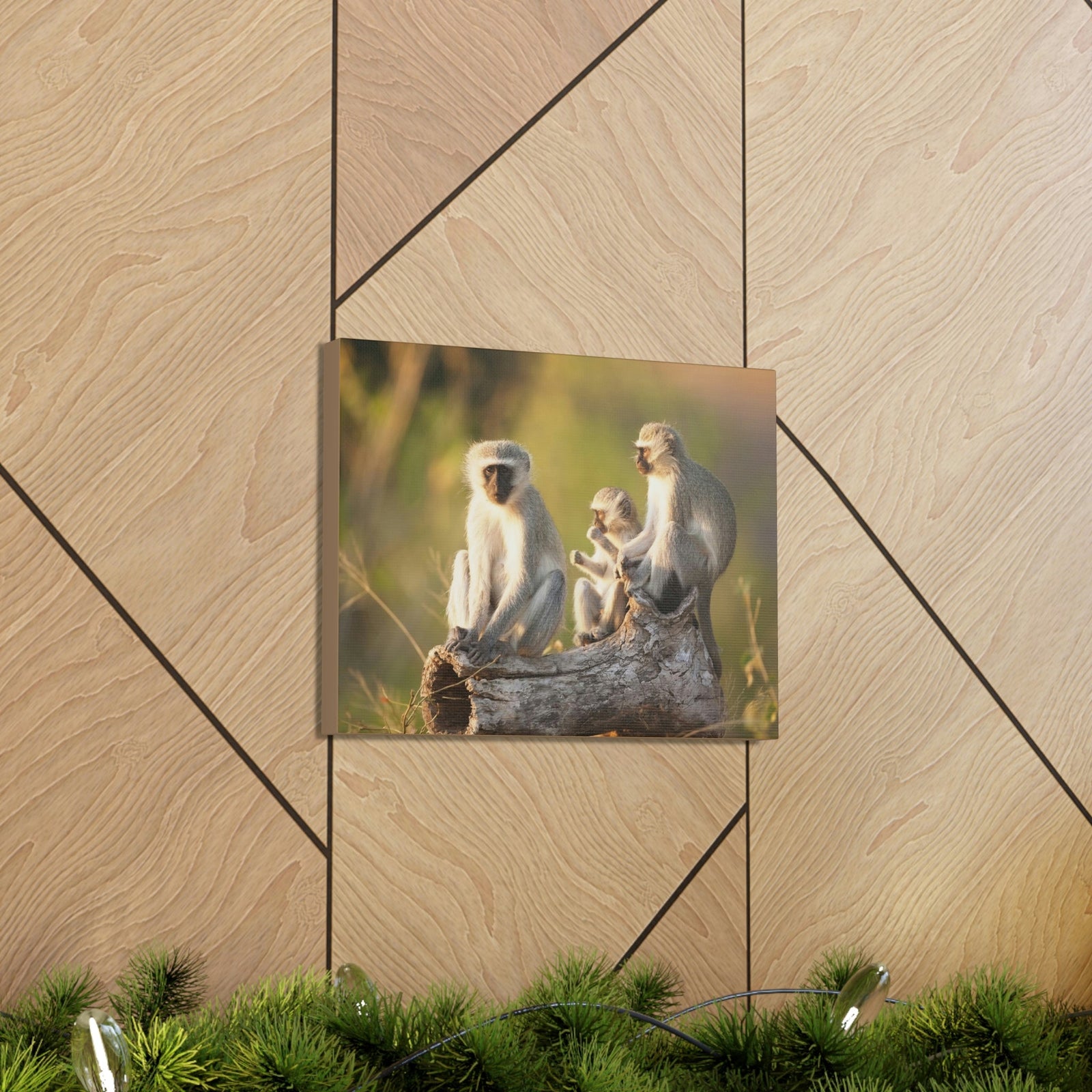 Scripture Walls Vervet Group Vervet Troop Print Animal Wall Art Wildlife Canvas Prints Wall Art Ready to Hang Unframed-Express Your Love Gifts