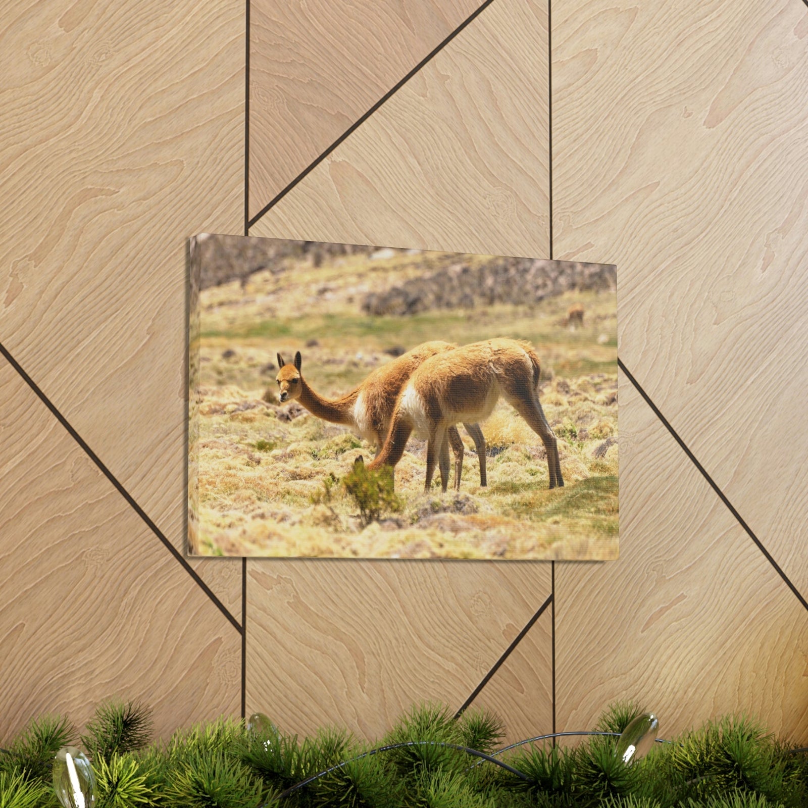 Scripture Walls Vicuna Hunting Vicuna on Hunt Print Animal Wall Art Wildlife Canvas Prints Wall Art Ready to Hang Unframed-Express Your Love Gifts