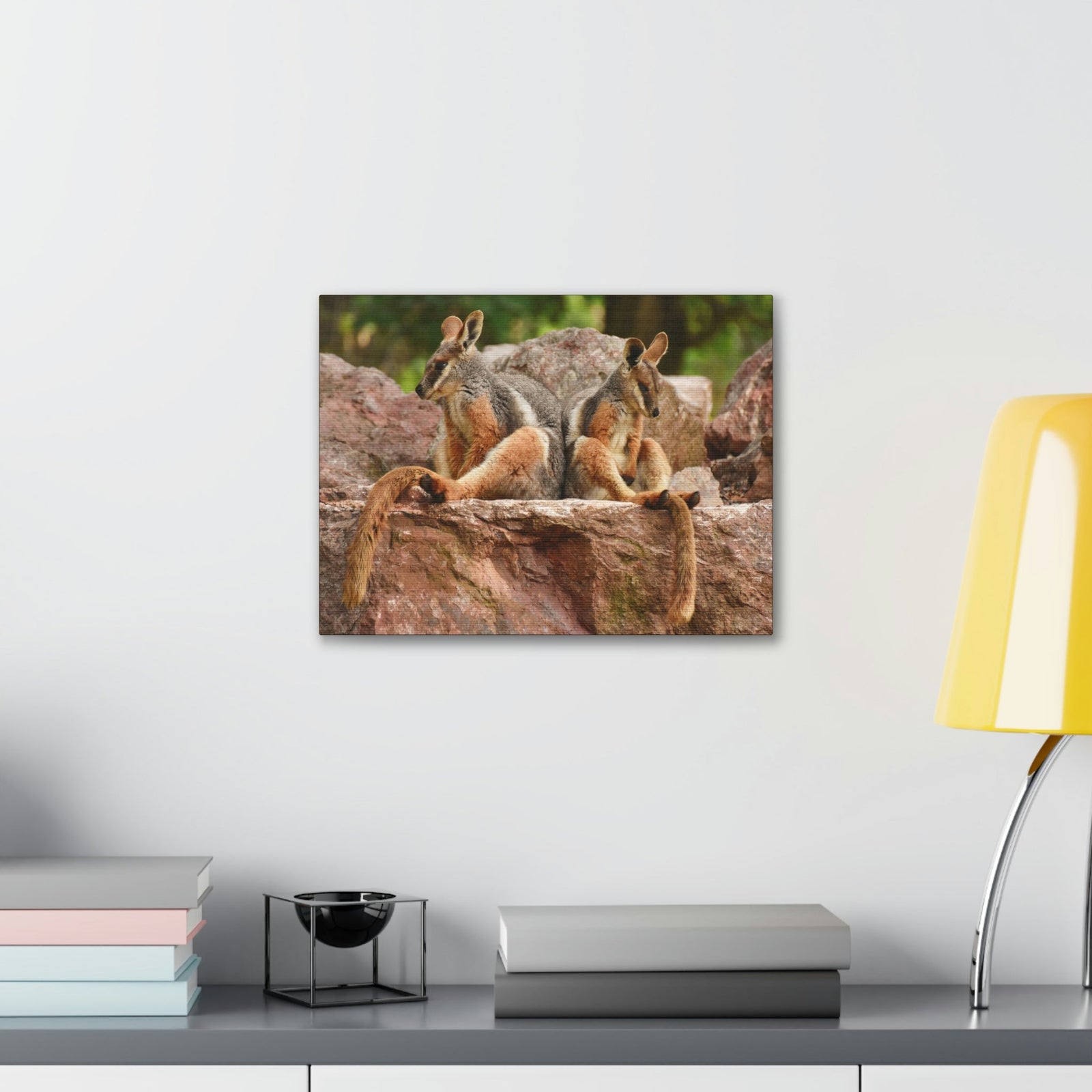 Scripture Walls Wallaby Couple Wallaby Couple Print Animal Wall Art Wildlife Canvas Prints Wall Art Ready to Hang Unframed-Express Your Love Gifts