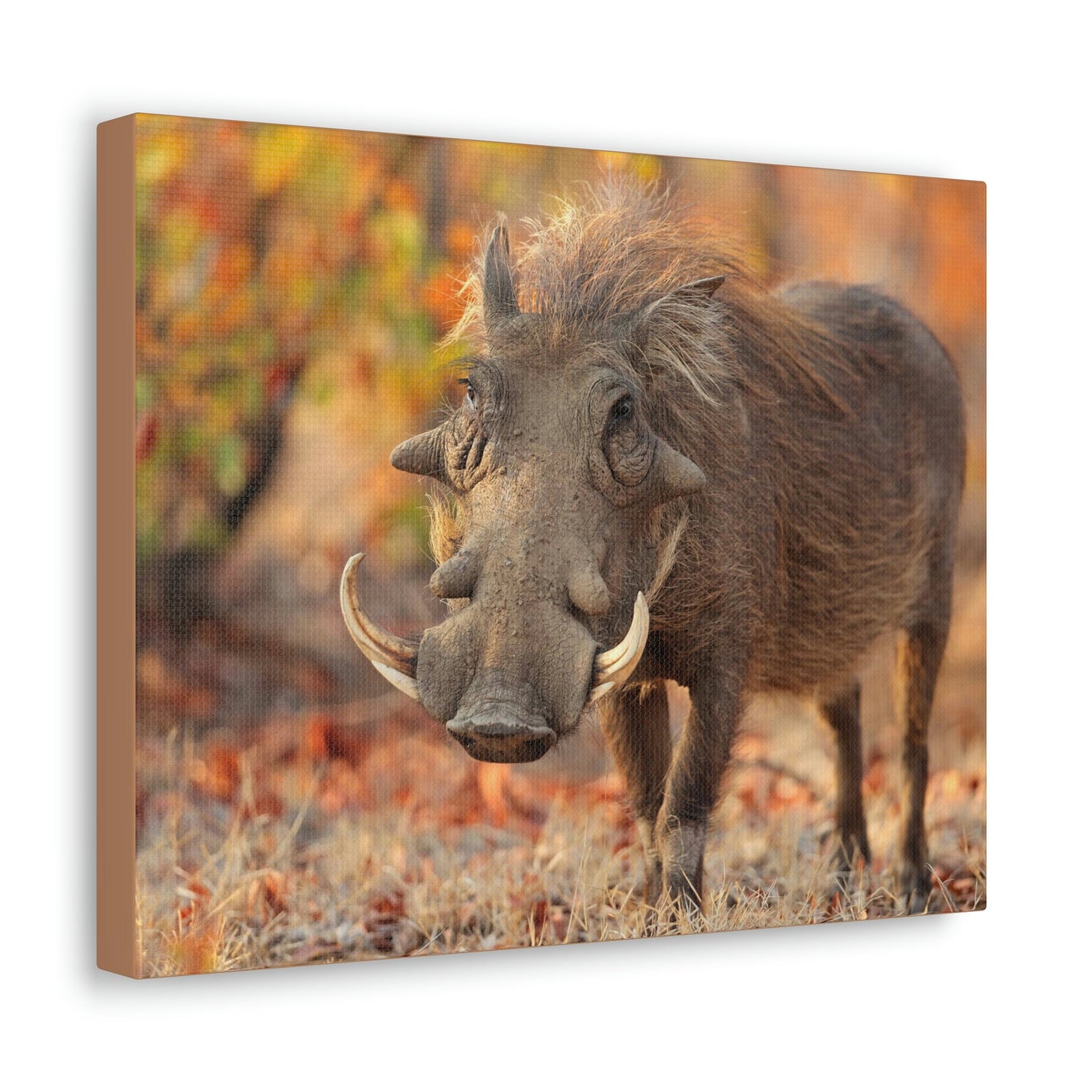 Scripture Walls Warthog Hunting Warthog on Hunt Print Animal Wall Art Wildlife Canvas Prints Wall Art Ready to Hang Unframed-Express Your Love Gifts