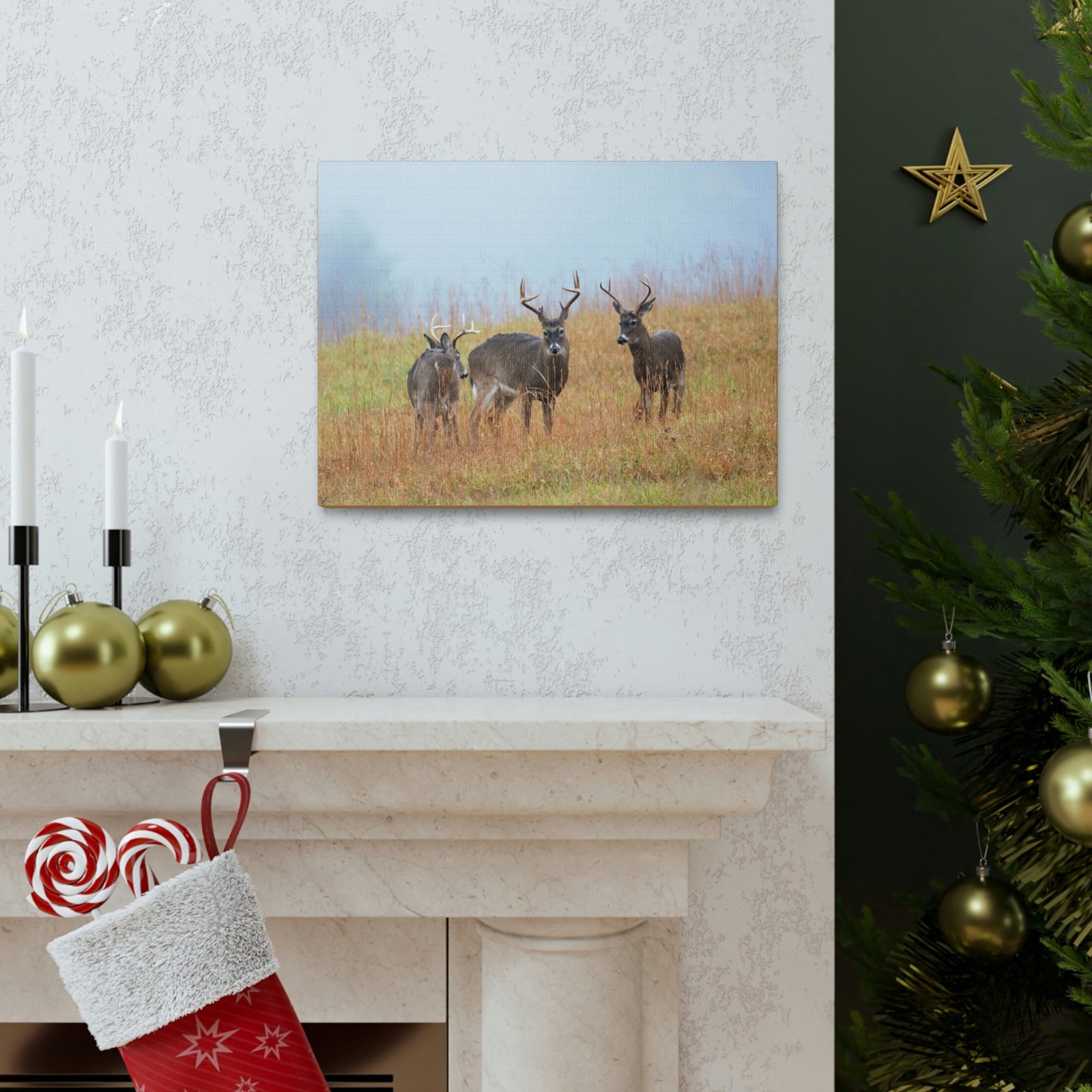 Scripture Walls White Tailed Deer Group White Tailed Deer Troop Print Animal Wall Art Wildlife Canvas Prints Wall Art Ready to Hang Unframed-Express Your Love Gifts