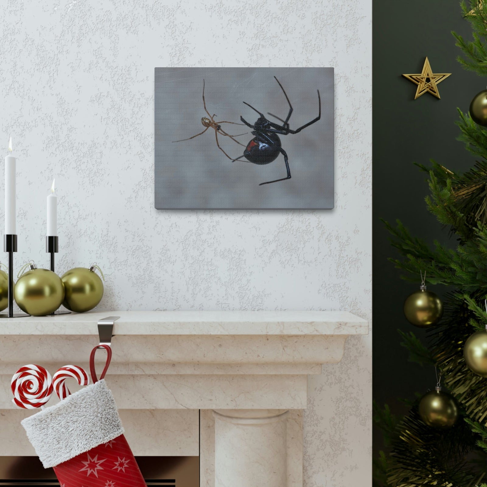 Scripture Walls Widow Spider Couple Widow Spider Couple Print Animal Wall Art Wildlife Canvas Prints Wall Art Ready to Hang Unframed-Express Your Love Gifts