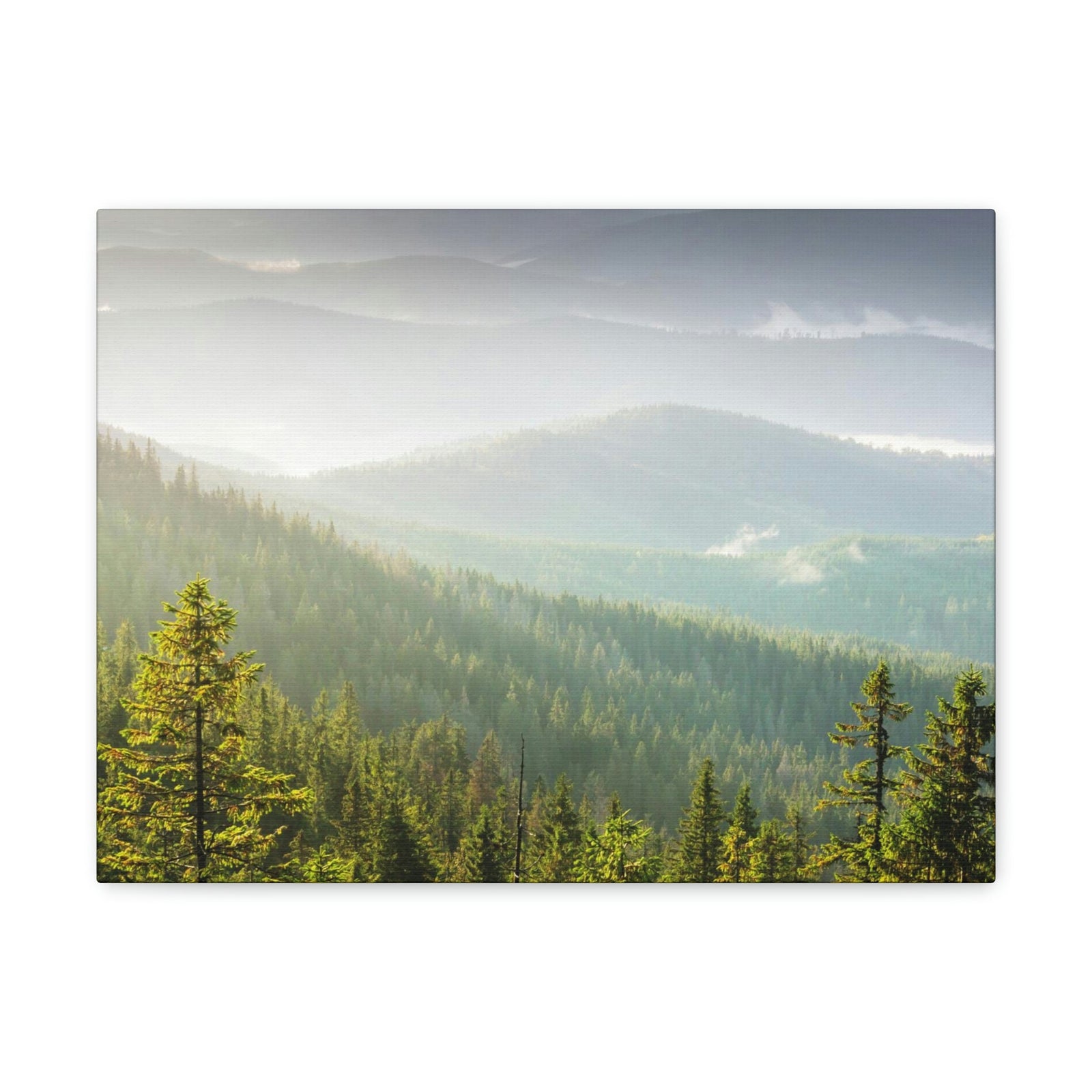 Wonderful Trees on the Mountains Scene Beautiful Spectacular and Awesome Beauty Nature Scene Big Trees and Mountain Range Wall Art Ready to Hang Unframed-Express Your Love Gifts