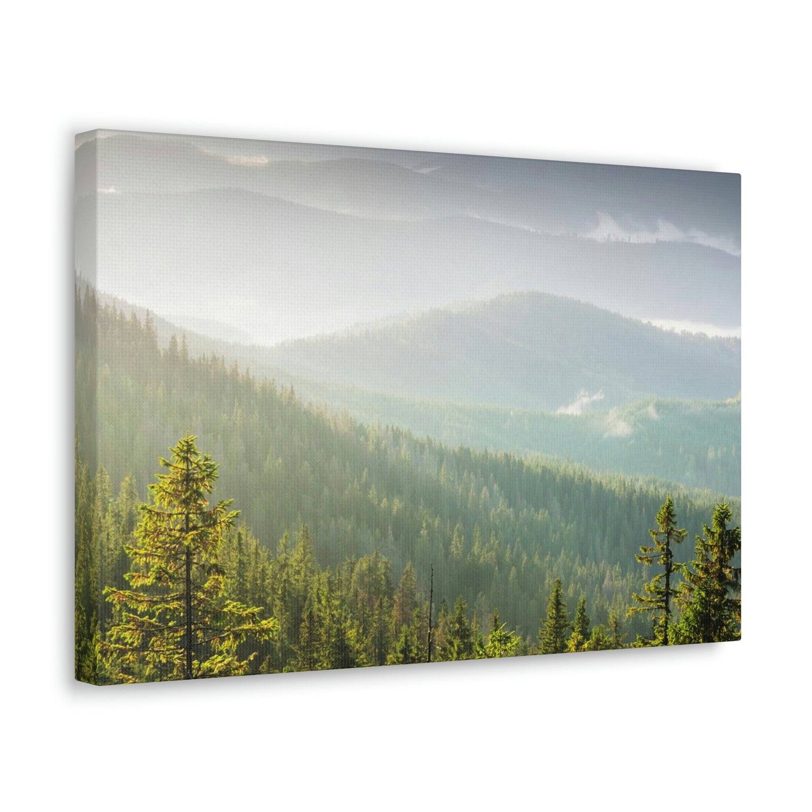 Wonderful Trees on the Mountains Scene Beautiful Spectacular and Awesome Beauty Nature Scene Big Trees and Mountain Range Wall Art Ready to Hang Unframed-Express Your Love Gifts