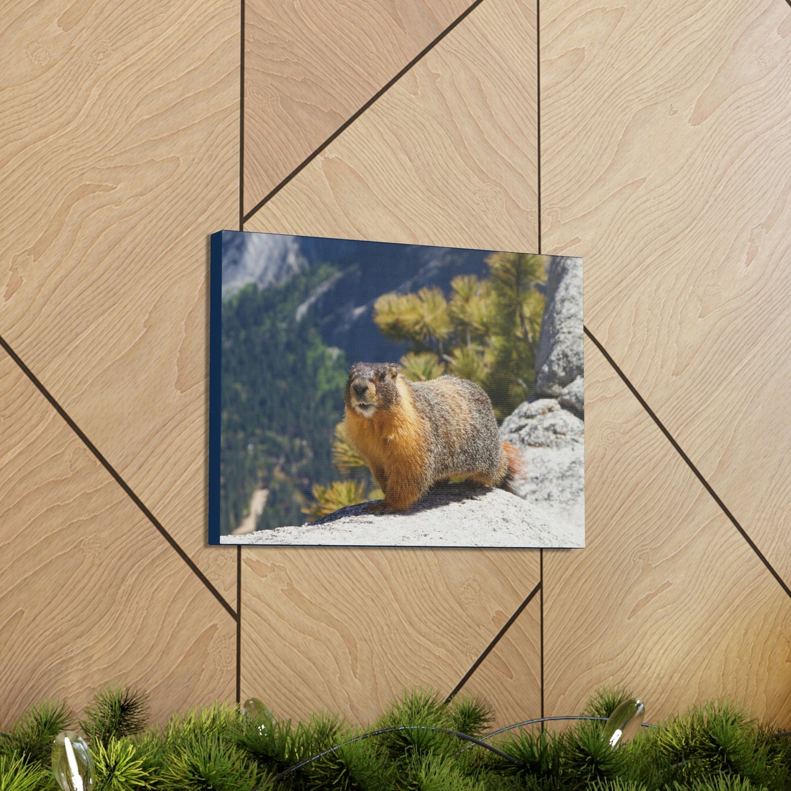 Scripture Walls Yellow Bellied Marmot on a Ridge Near Yosemite Falls Print Animal Wall Art Wildlife Canvas Prints Wall Art Ready to Hang Unframed-Express Your Love Gifts