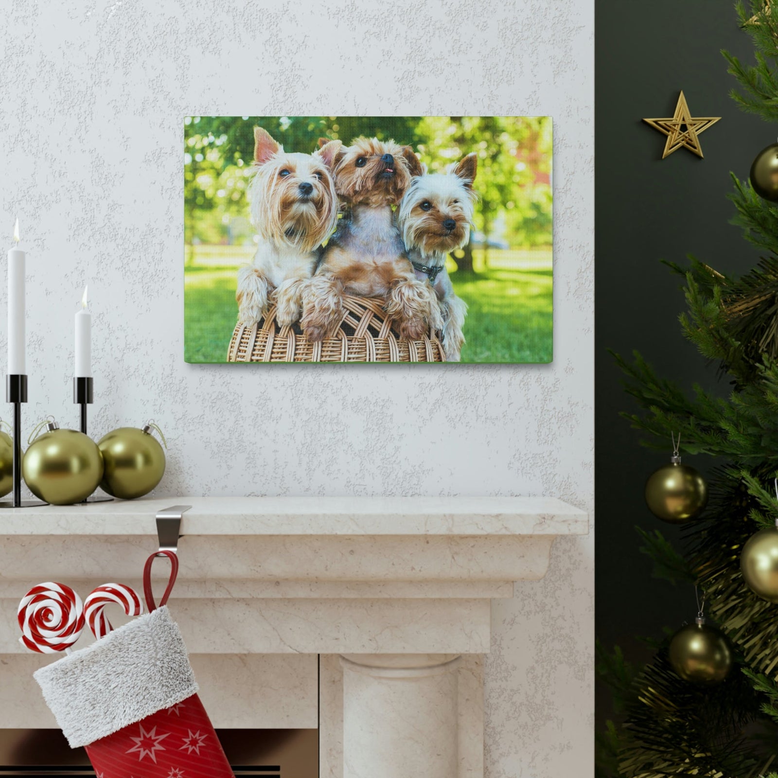 Scripture Walls Yorkshire Terrier Group Yorkshire Terrier Troop Print Animal Wall Art Wildlife Canvas Prints Wall Art Ready to Hang Unframed-Express Your Love Gifts