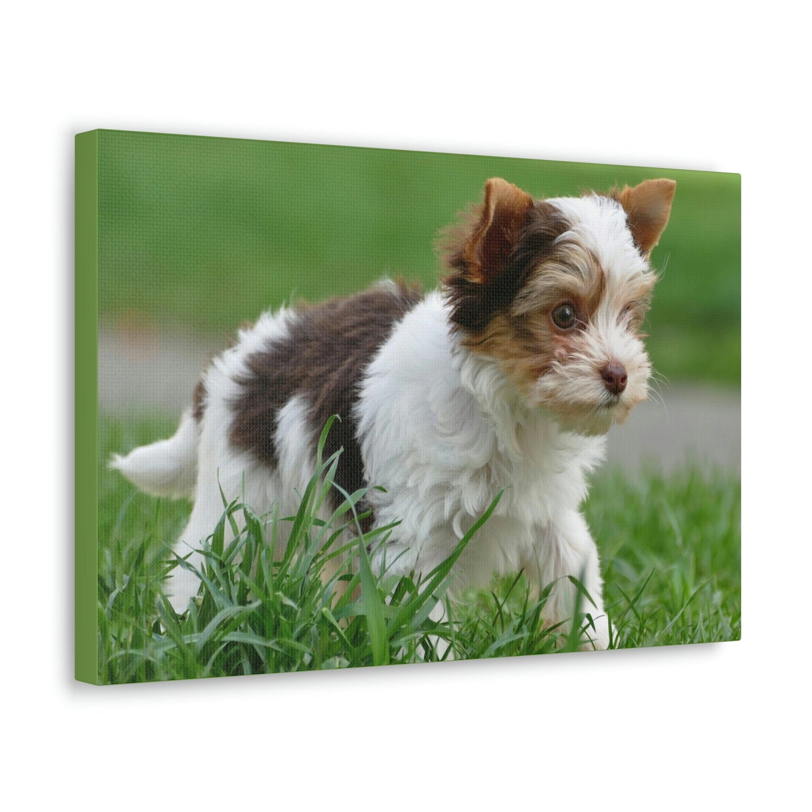 Scripture Walls Yorkshire Terrier Hunting Yorkshire Terrier on Hunt Print Animal Wall Art Wildlife Canvas Prints Wall Art Ready to Hang Unframed-Express Your Love Gifts