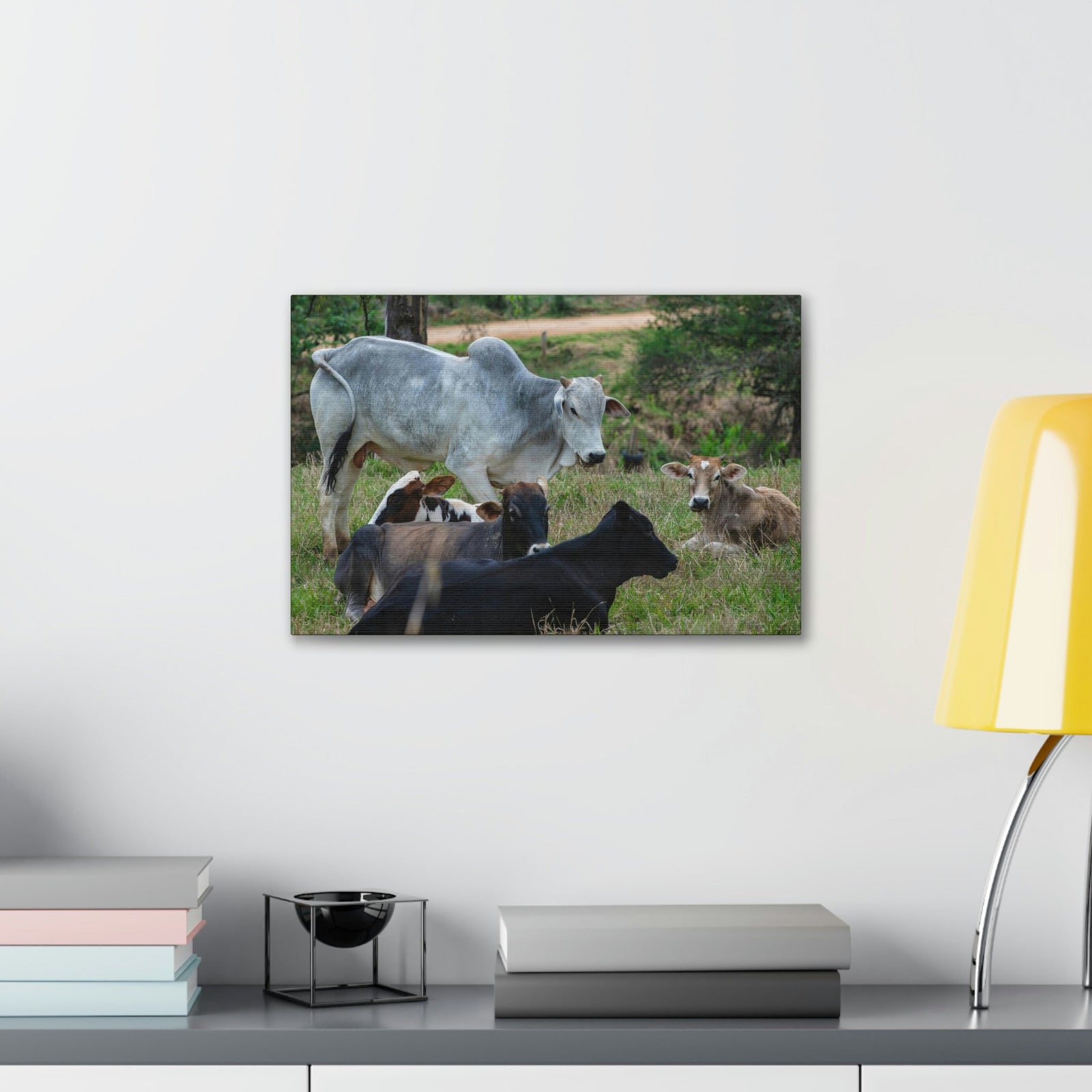 Scripture Walls Zebu Group Zebu Troop Print Animal Wall Art Wildlife Canvas Prints Wall Art Ready to Hang Unframed-Express Your Love Gifts