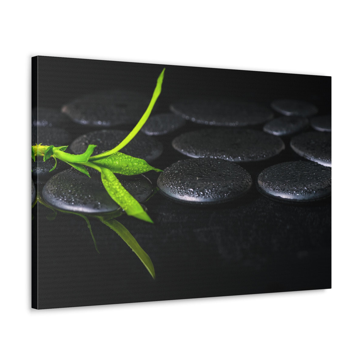Green Bamboo on Stones Forest Floral Nature Photography Canvas Wall Art for Home Decor Ready-to-Hang-Express Your Love Gifts