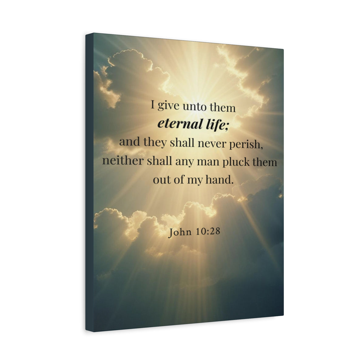 Scripture Walls John 10:28 Eternal Assurance Bible Verse Canvas Christian Wall Art Ready to Hang Unframed-Express Your Love Gifts
