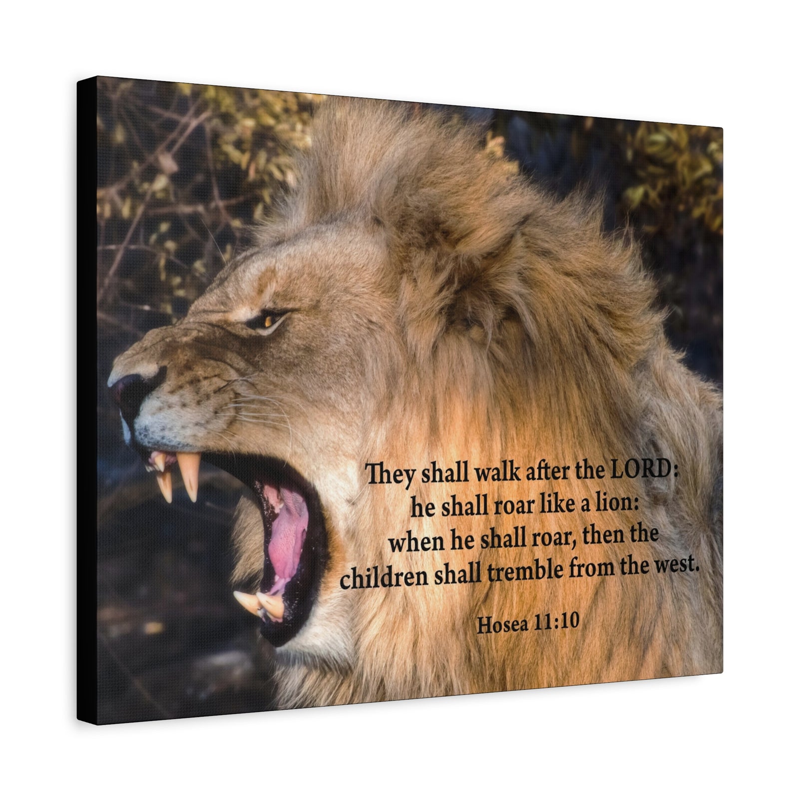 Scripture Canvas Roaring Lion of Judah Hosea 11:10 Christian Wall Art Bible Verse Print Ready to Hang-Express Your Love Gifts