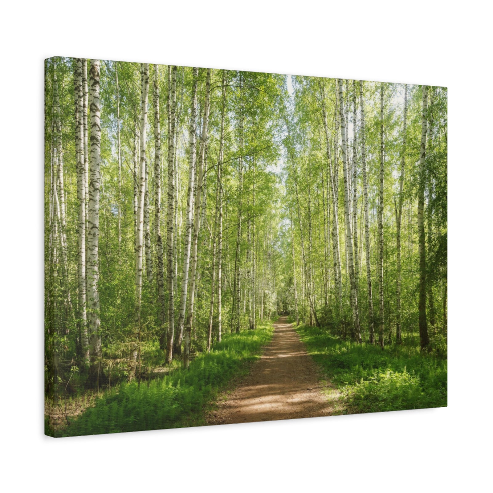 Forest Path Green Tree Nature Wilderness Photography Canvas Wall Art for Home Decor Ready-to-Hang-Express Your Love Gifts