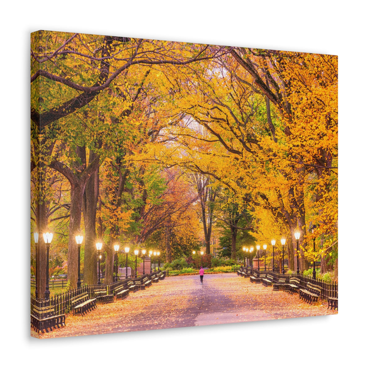 Orange Tree Autumn Park Nature Wilderness Photography Canvas Wall Art for Home Decor Ready-to-Hang-Express Your Love Gifts