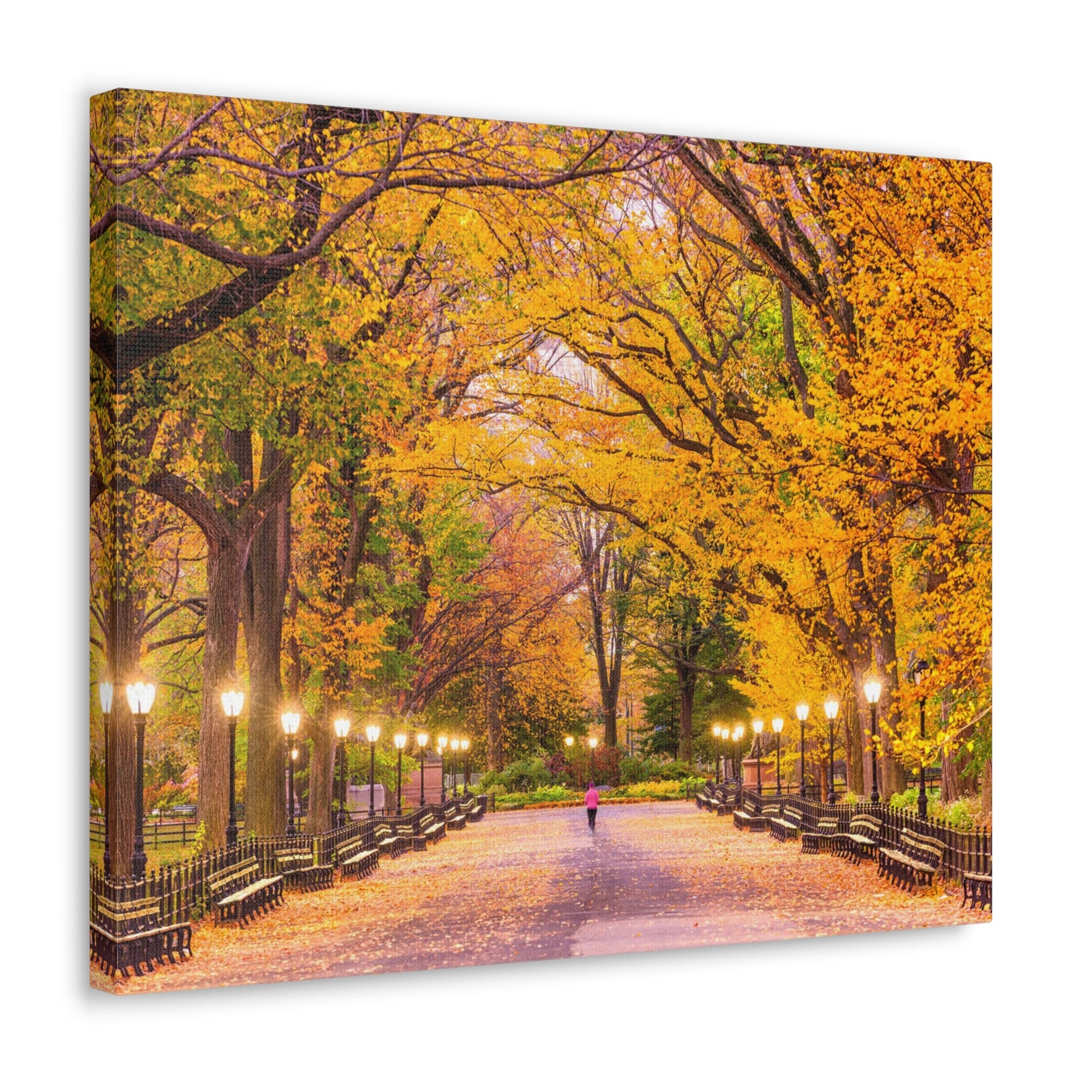 Orange Tree Autumn Park Nature Wilderness Photography Canvas Wall Art for Home Decor Ready-to-Hang-Express Your Love Gifts