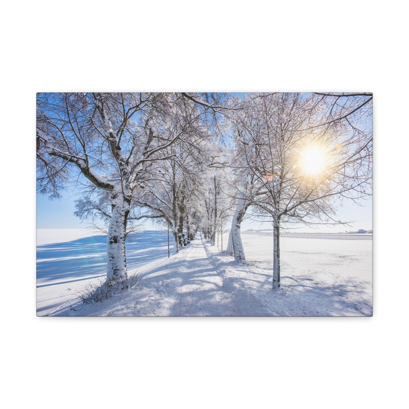 Small Footpath In Winter Through Trees Canvas Wall Art for Home Decor Ready-to-Hang-Express Your Love Gifts
