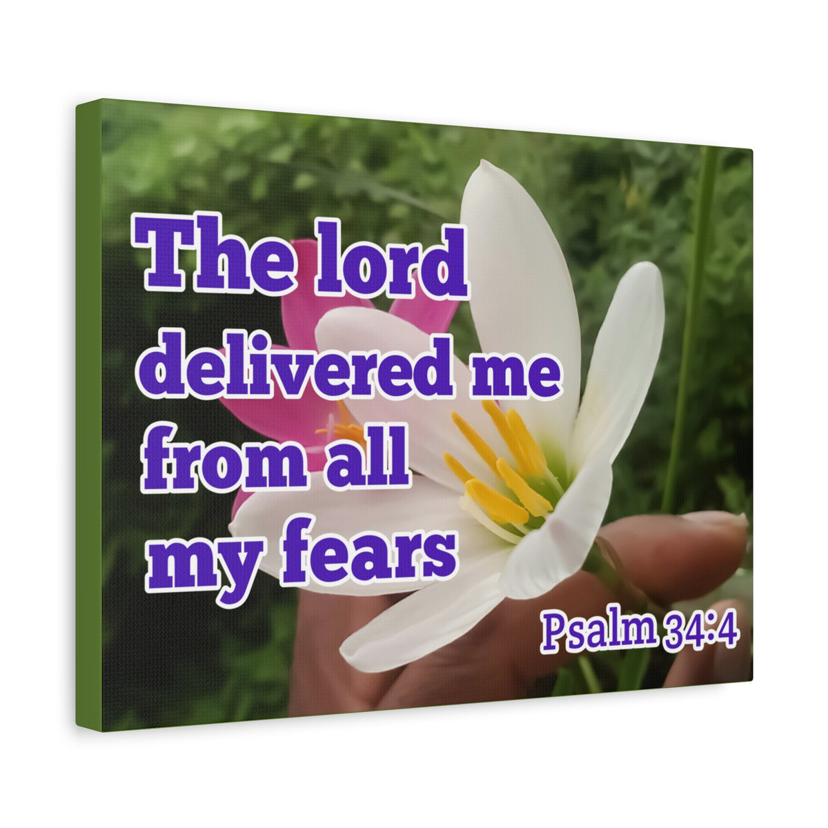Scripture Walls The Lord Delivered Me Psalm 34:4 Bible Verse Canvas Christian Wall Art Ready to Hang-Express Your Love Gifts