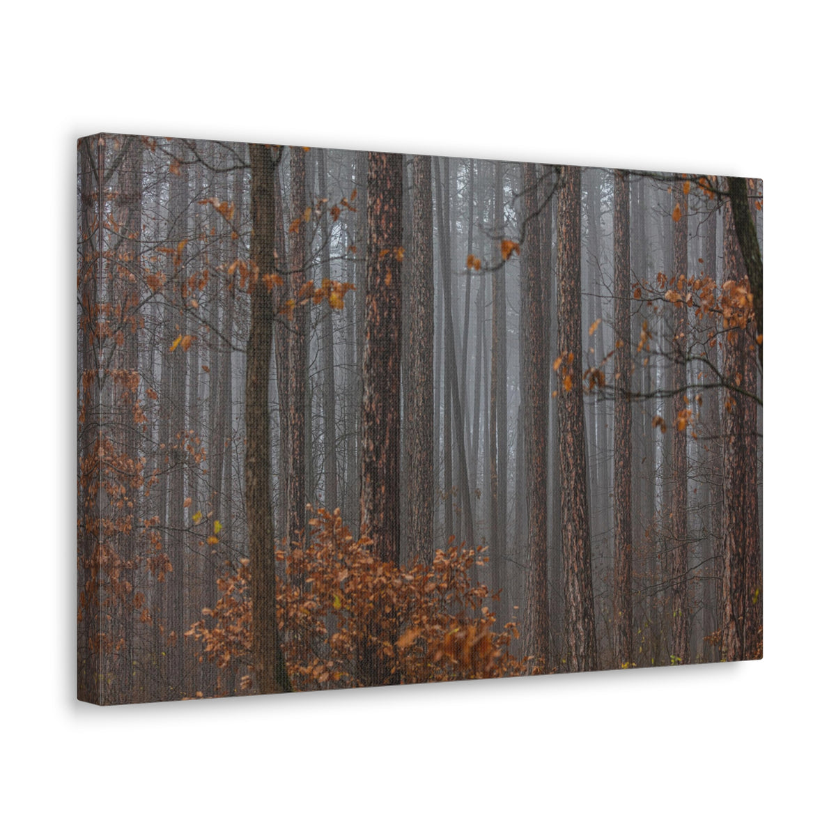 Autumn Forest Misty Orange Leave Nature Wilderness Photography Canvas Wall Art for Home Decor Ready-to-Hang-Express Your Love Gifts