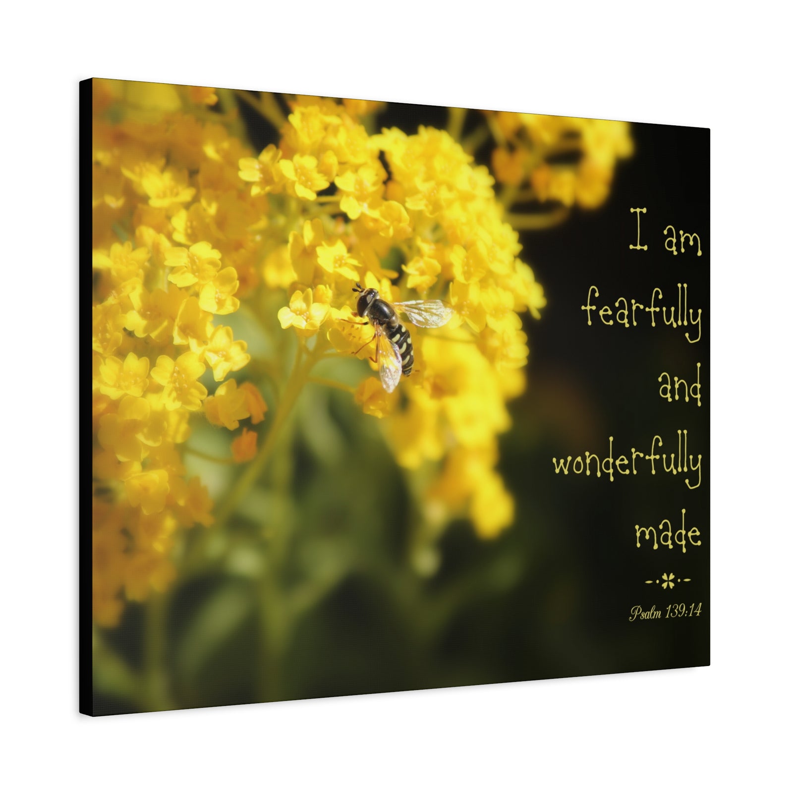 Scripture Walls Wonderfully Made Psalm 139:14 Bee Bible Verse Canvas Christian Wall Art Ready to Hang-Express Your Love Gifts