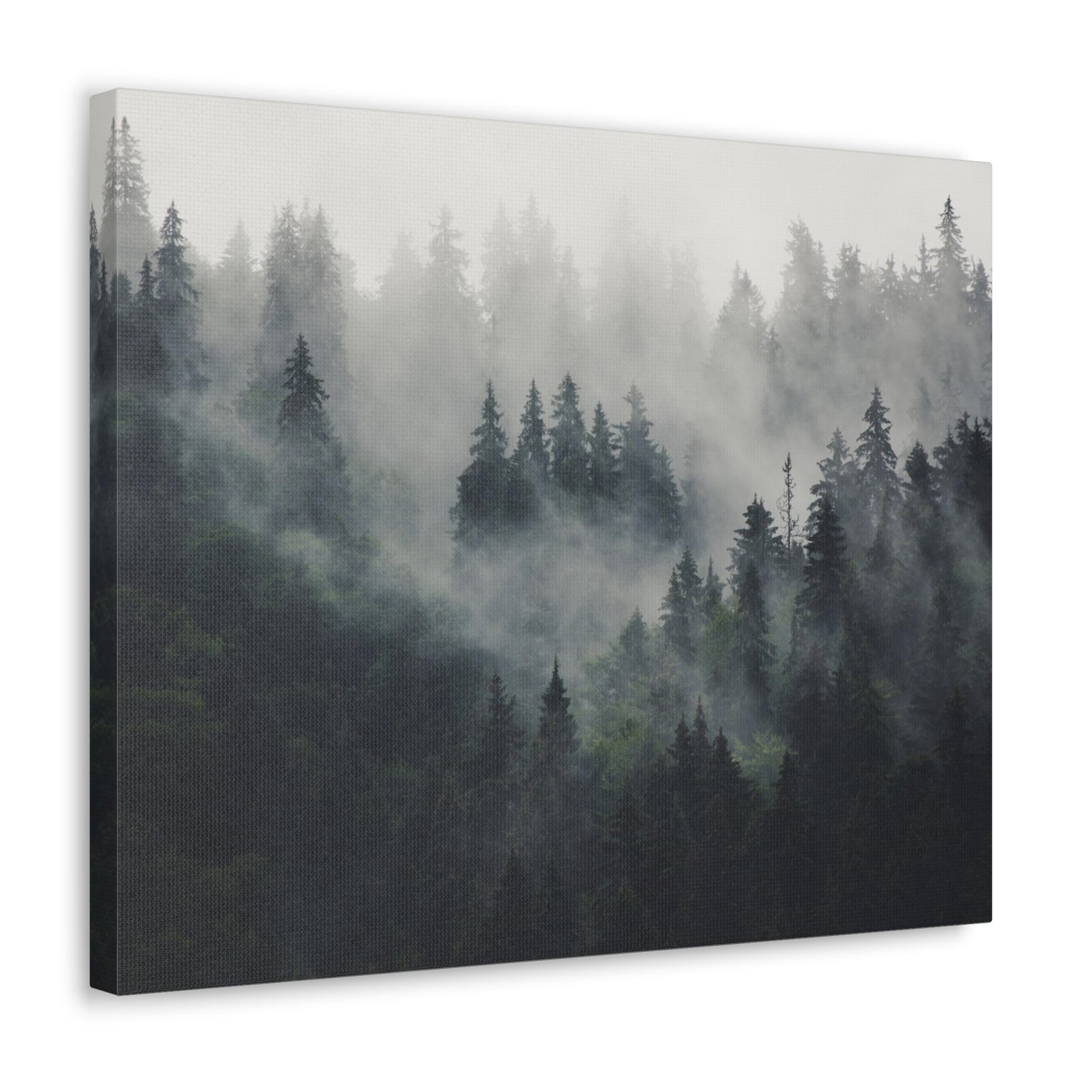 Misty Pine Tree Green Forest Nature Wilderness Photography Canvas Wall Art for Home Decor Ready-to-Hang-Express Your Love Gifts