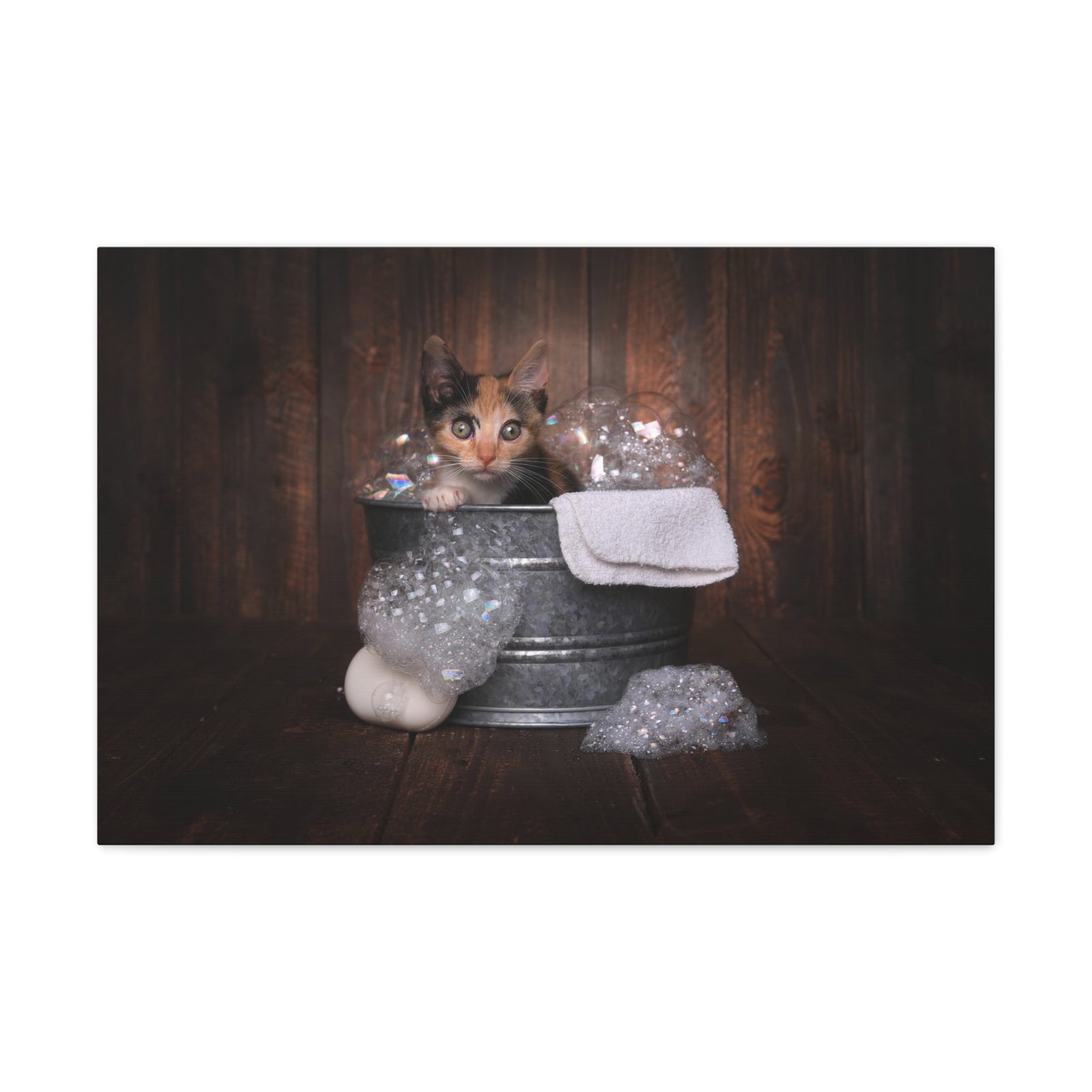 Cute Calico Bathee Canvas Wall Art for Home Decor Ready-to-Hang-Express Your Love Gifts