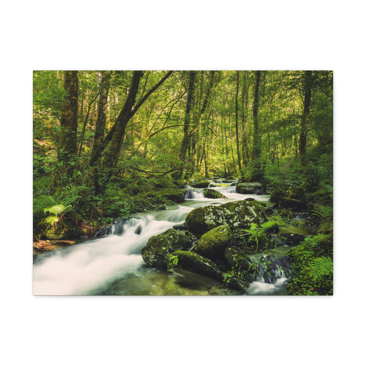 Green Forest River Nature Wilderness Photography Canvas Wall Art for Home Decor Ready-to-Hang-Express Your Love Gifts