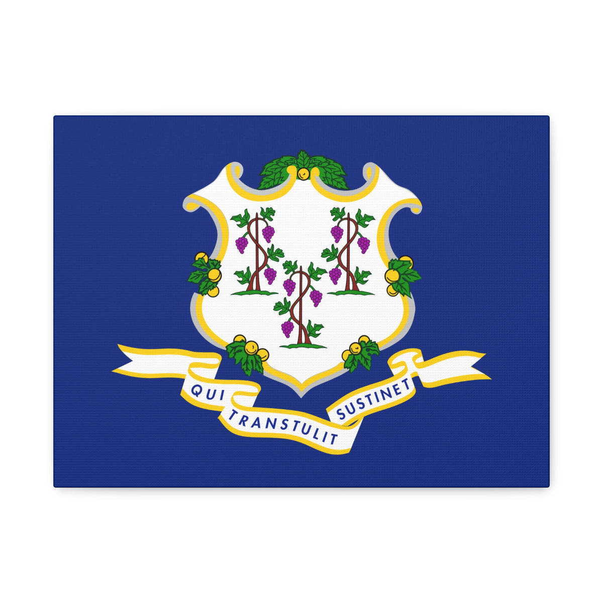 Connecticut State Flag Canvas Vibrant Wall Art Unframed Home Decor-Express Your Love Gifts